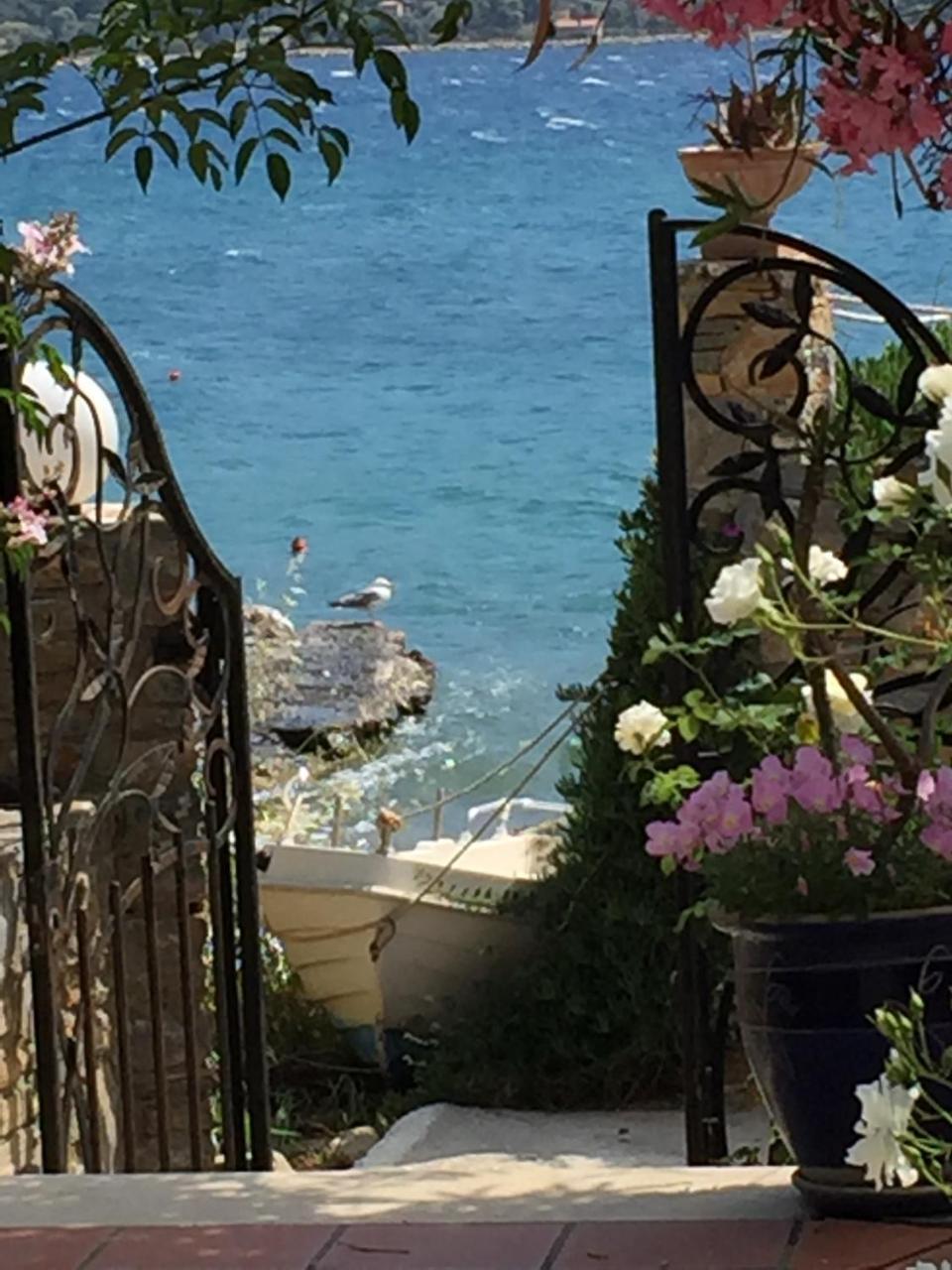 Roditses Beach Sea Front Apartments Samos Town Exteriör bild
