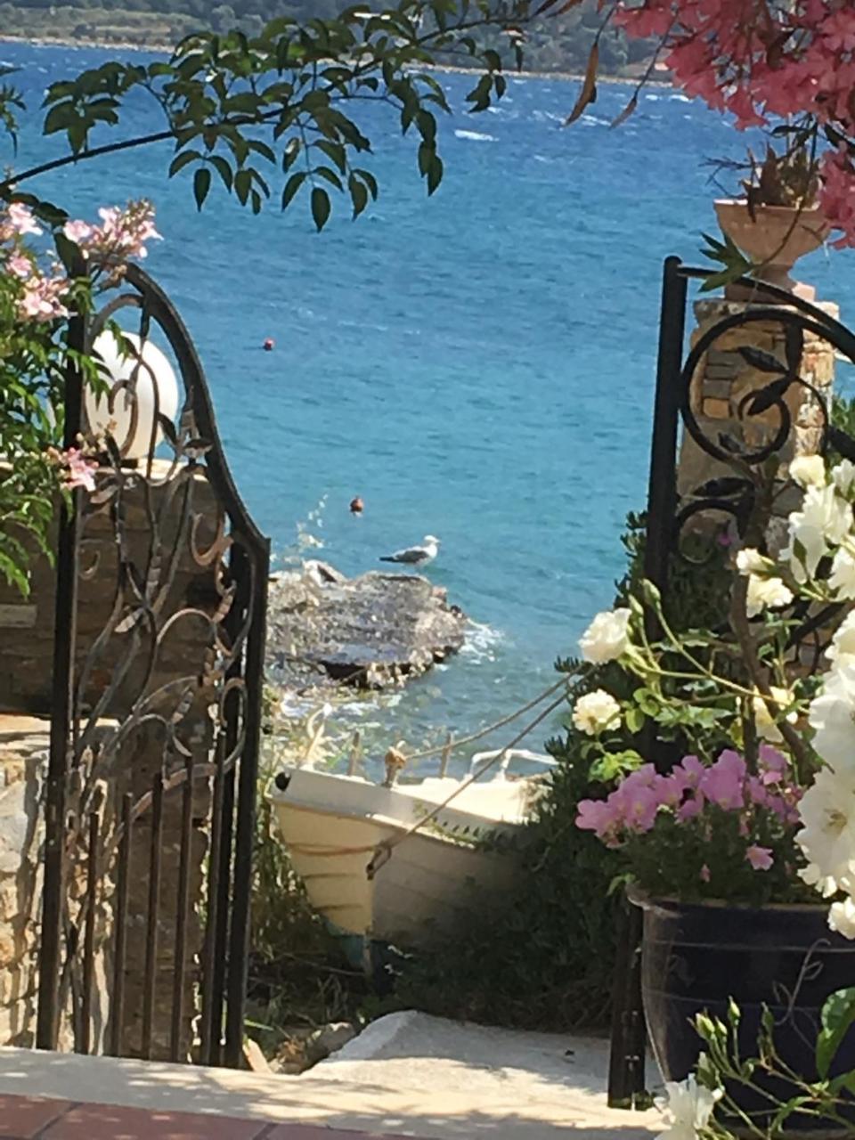 Roditses Beach Sea Front Apartments Samos Town Exteriör bild