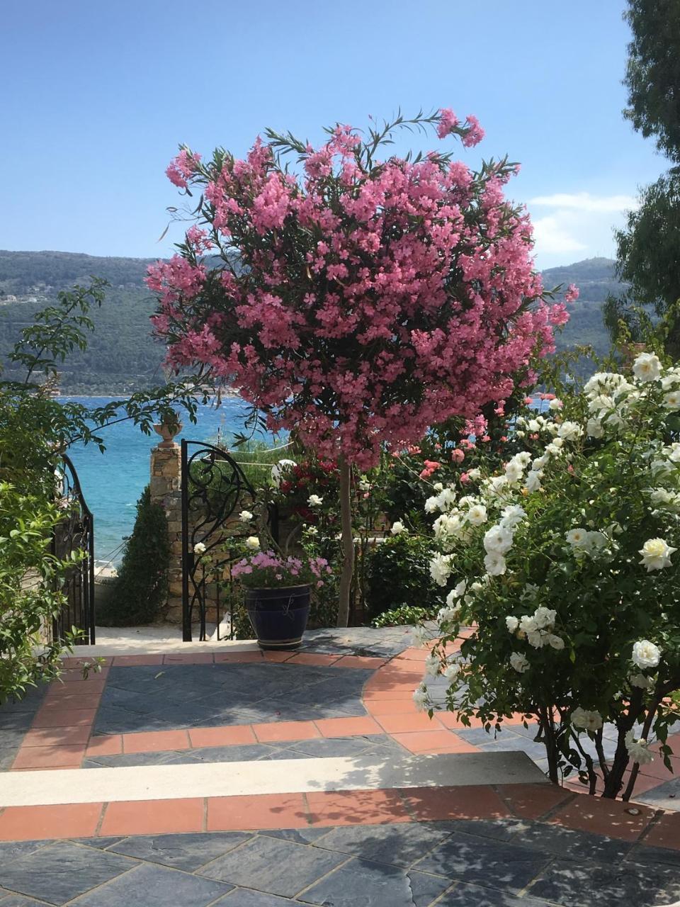 Roditses Beach Sea Front Apartments Samos Town Exteriör bild